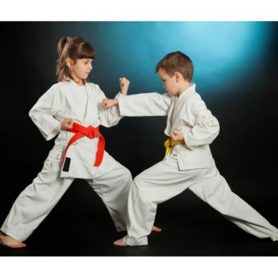 Why Adult Karate Classes Are the Ultimate Comeback Story for Your Body?